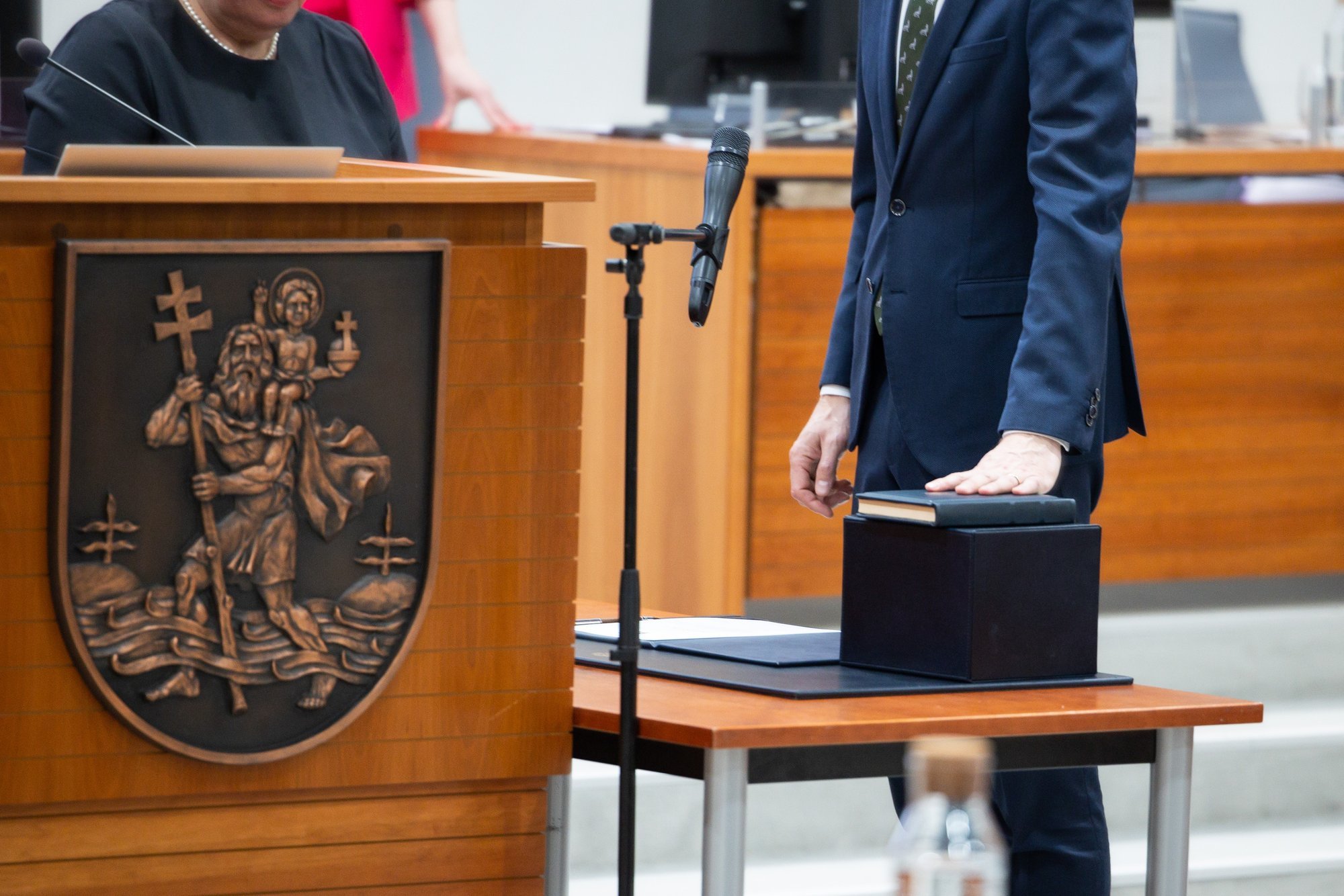 Teisininkas Grigonis paskirtas trečiuoju Vilniaus vicemeru - Delfi