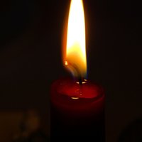 Per parą užfiksuotos 6 mirtys 