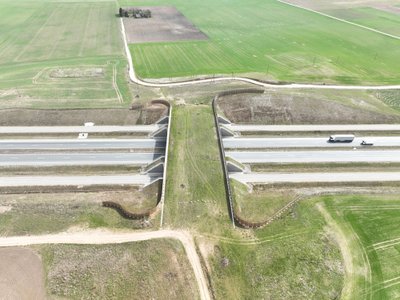 Kokie gyvūnai jau naudojasi žaliuoju gamtos tiltu Via Baltica kelyje?