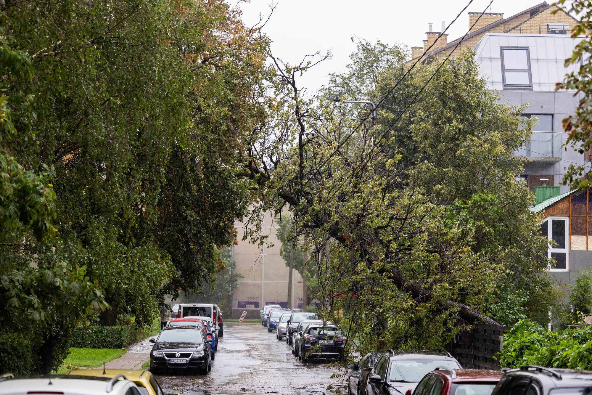 After Storms, Experts Warn Buyers to Check Homes for Water Damage Risks