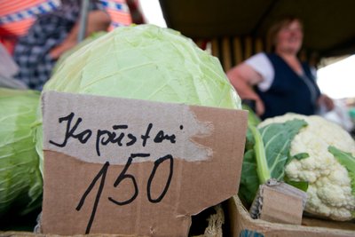 Ūkininkai turintys kopūstų perteklių irgi galėtų jį pasiūlyti virtualiame maisto išteklių žemėlapyje