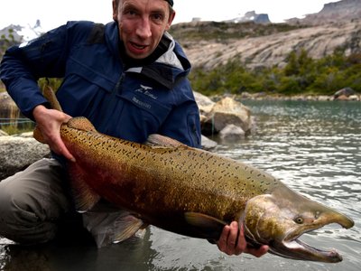 Patagonijos karališkoji lašiša