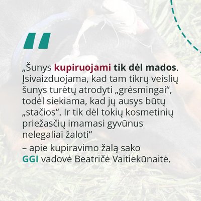 Nelegalus gyvūnų kupiravimas