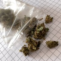 Vogtų daiktų ieškoję pareigūnai suuodė paslėptus narkotikus 