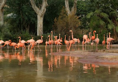 Barselonos zoologijos sodas