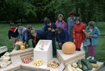 Mugė, 1990 m.