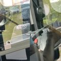 Vilnietė užfiksavo prie vairo mobiliuoju telefonu besinaudojantį autobuso vairuotoją: vaizdas nemaloniai nustebino