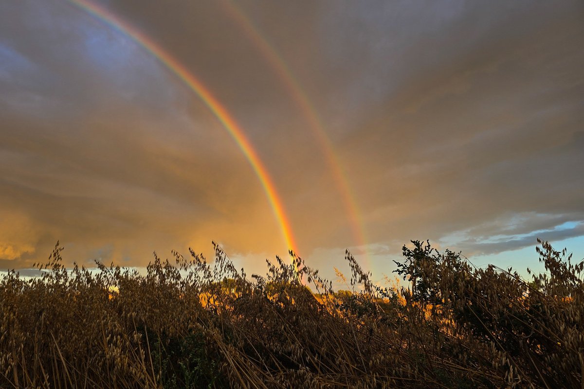 Vasara sugrįš atsisveikinti: sinoptikai įvardijo, kada galima tikėtis ...