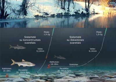 Schema. Strepečių žūklės sistemėlė