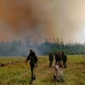 Rusijos Arktyje siaučiantys miškų gaisrai išmeta didžiulius kiekius dūmų