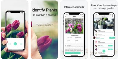 Plantldentifier