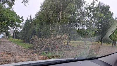 Nutraukti elektros laidai Vilniaus rajone