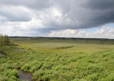 Novaraisčio valstybinis ornitologinis draustinis