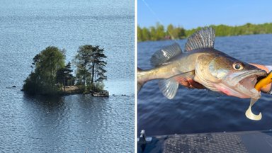 Švedijos ežerus tyrinėję lietuviai rado tikrą perlą – gamtos mylėtojams čia tikrai patiks