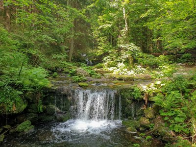 Moravijos-Silezijos ir Olomouco regionai Čekijoje