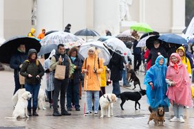 Silpnaregiai dėl šuns vedlio finansavimo nori greitesnių sprendimų