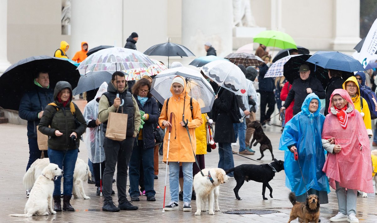 Lietuvos aklųjų ir silpnaregių sąjungos eisena iki Vyriausybės