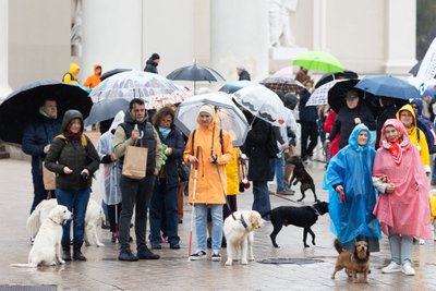 Lietuvos aklųjų ir silpnaregių sąjungos eisena iki Vyriausybės