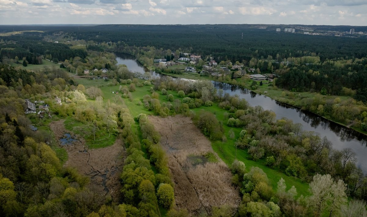 Sužaliavęs Vilnius
