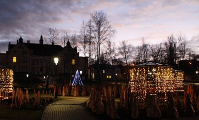 Chaimo Frenkelio vilos parkas // Viktorijos Dirmeikytės nuotr.