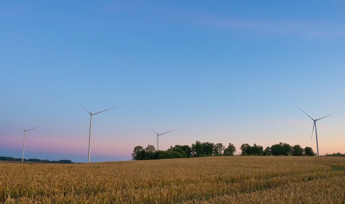„Ignitis Renewables“ statomas didžiausias Lietuvoje vėjo elektrinių parkas Kelmės rajone