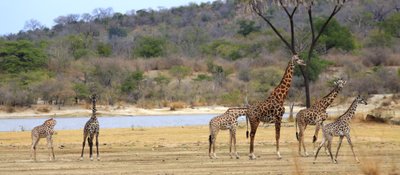 Ngorongoro nacionalinis parkas