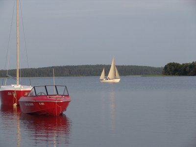 Plateliai. Kotrynos Mikašauskaitės nuotr. 