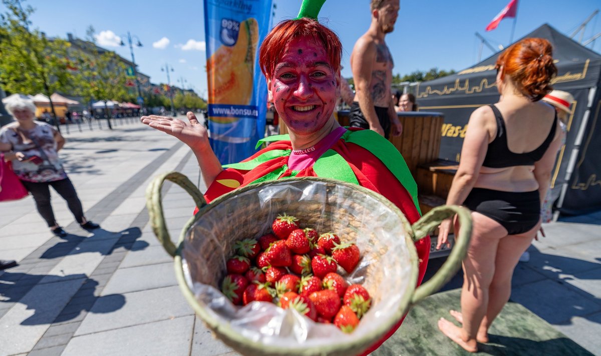 Vilniaus braškių festivalis