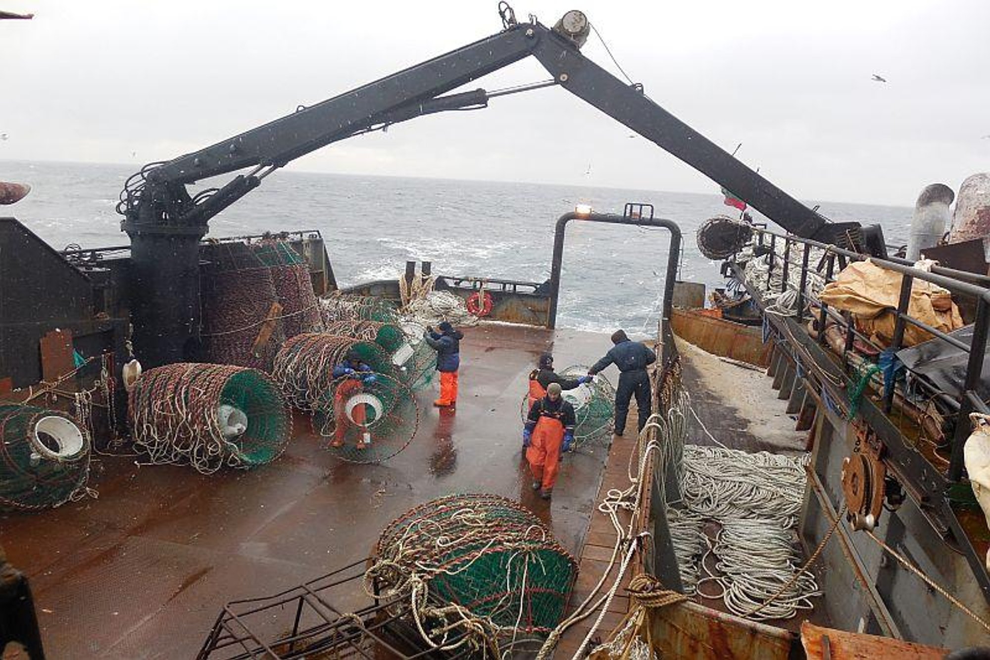 Viktoro Vlasenkos nuotr. 