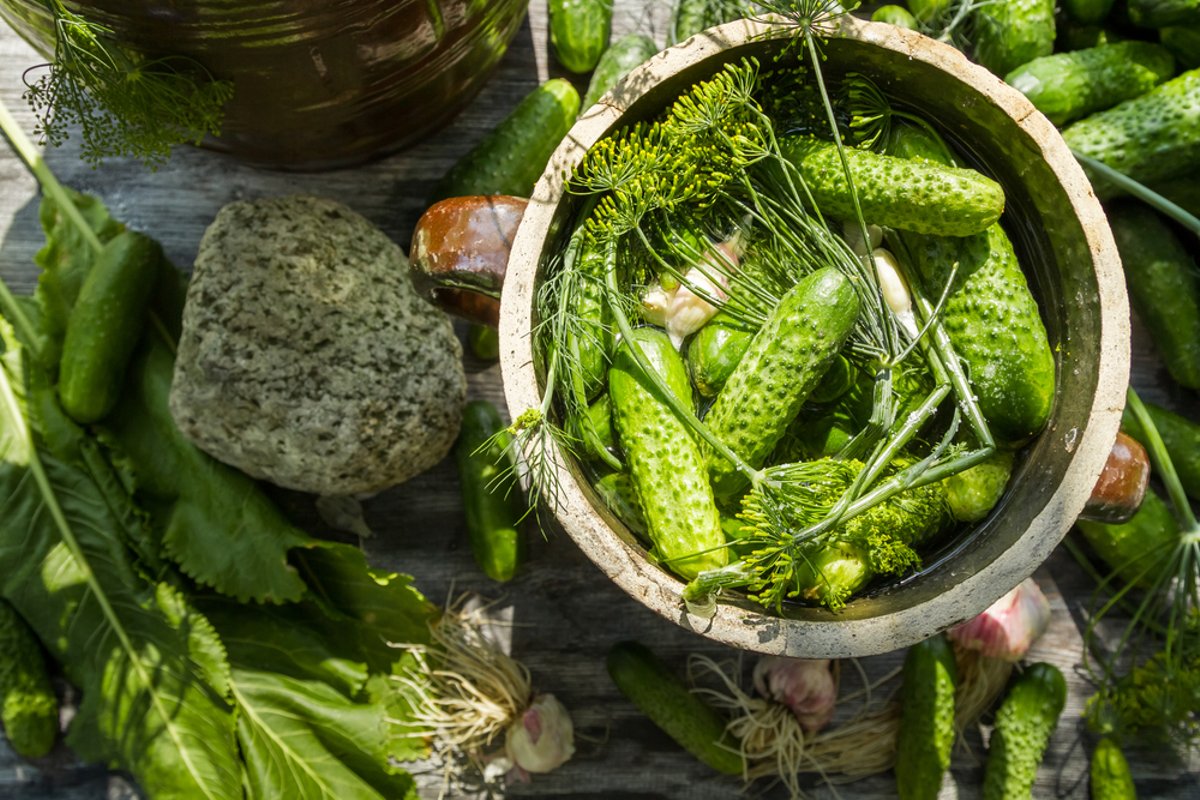 12cf2bf0-7ac0-11ed-b28f-6f36971428db /upload/thumbnail1/2025/2/24/209095/thumb2