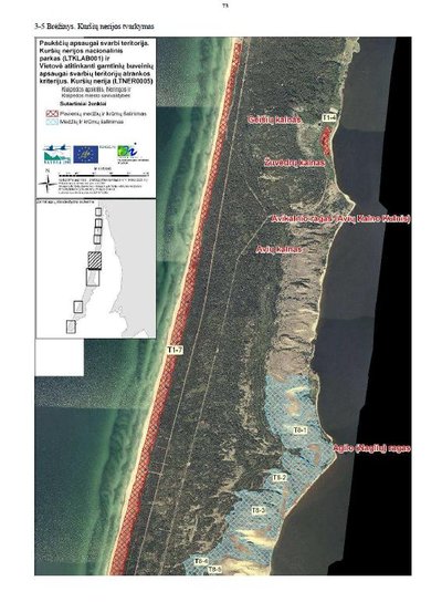 Sumedėjusios augmenijos šalinimas numatytas Naglių gamtinio rezervato pakraščiuose