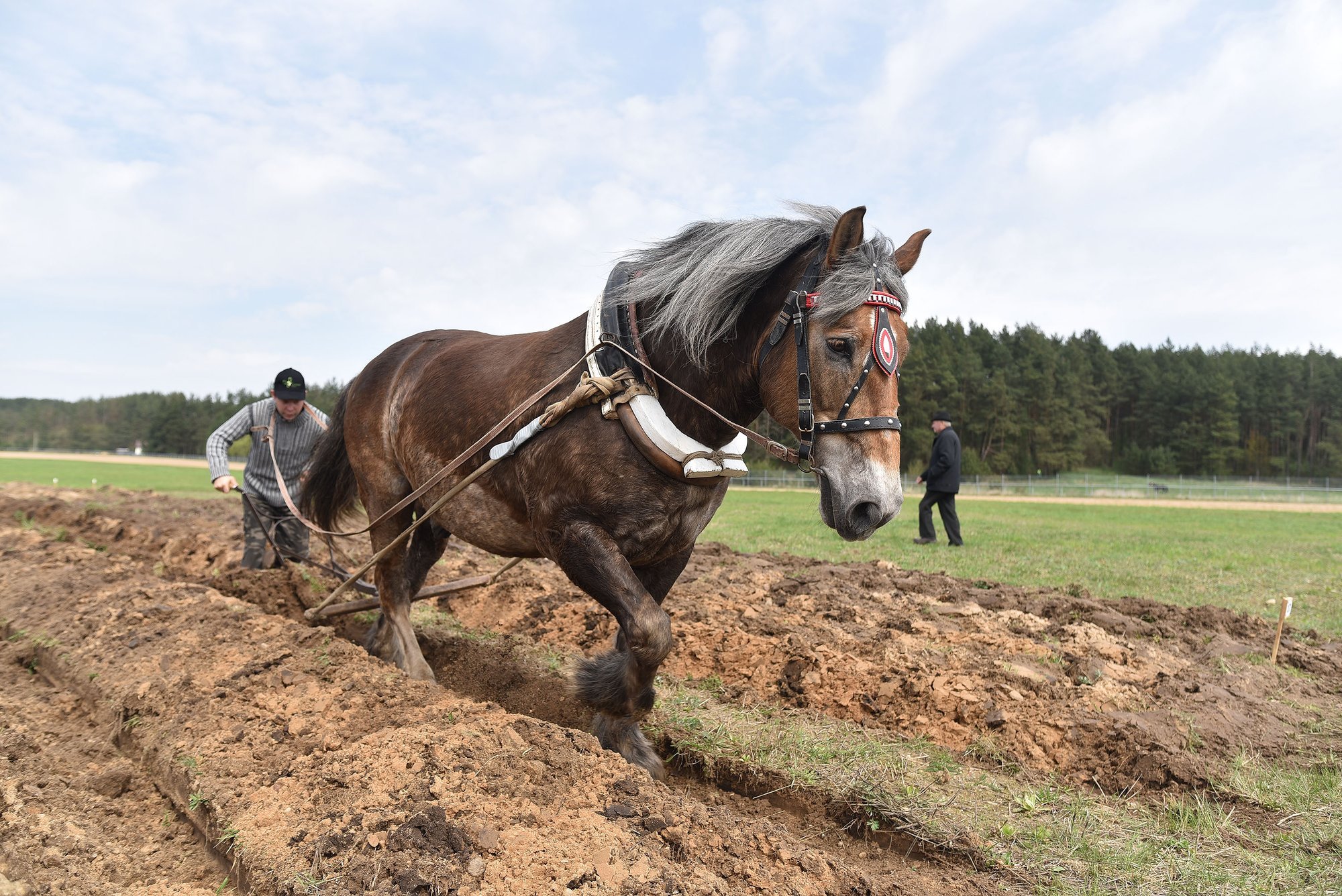 Planuoja statyti paminklą Lietuvos ūkininkui - Delfi agro