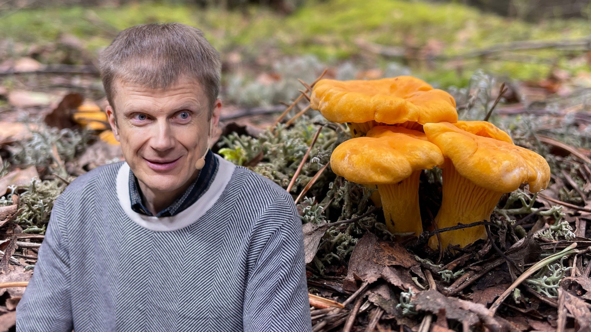 Mycologist Warns Against Eating Raw Chanterelle Mushrooms Amid Social Media Trend