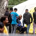 Lietuvai – antausis iš migrantų: skundžia šalį teismui