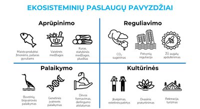 Jūros teikiamų „ekosisteminių paslaugų“ yra daug ir įvairių. Jas galima suskirstyti į tipus: aprūpinimo, reguliavimo, palaikymo ir kultūrinės