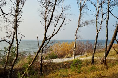 Palanga