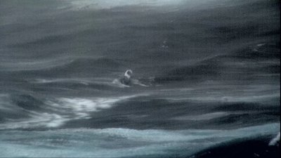 Aurimo Mockaus gelbėjimo operacija