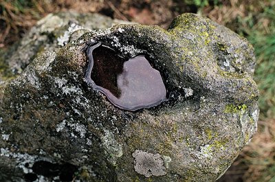 Akmuo gali būti puiki puošmena jūsų sode