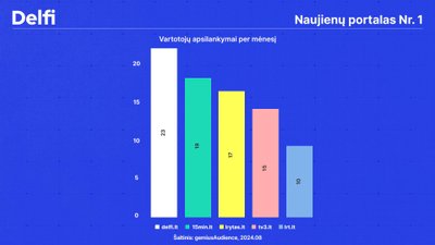 Vartotojų apsilankymai per mėnesį