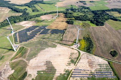 Ignitis renewables“ stebi bioįvairovę statomame saulės elektrinių parke 