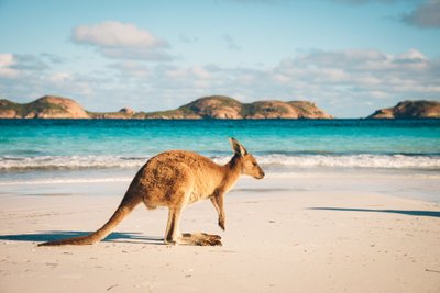 Australija