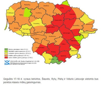 Miškų gaisringumas