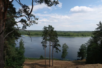 Ladakalnio panorama