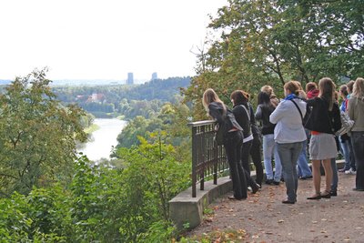 Verkių regioninis parkas