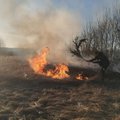 Viduryje liepsnojančios pievos stovinčią elektros pastotę gelbėjo muitininkai ir ugniagesiai