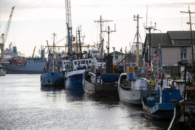 Fishing boats