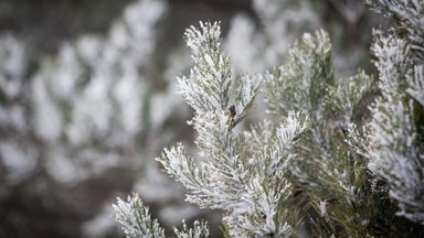 Orai ir toliau išliks rudeniškai niūrūs