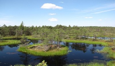 Kamanų rezervatas / V. Grigaliūno nuotr.