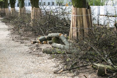 Lukiškių aikštės rekonstrukcija