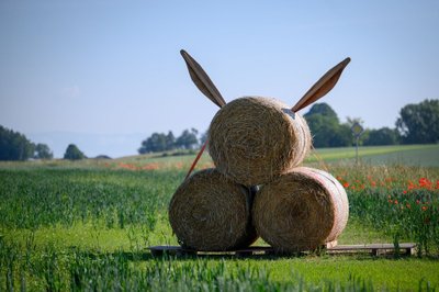 Sintetiniai pesticidai